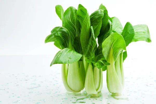 Pok Choi Vit Bakgrund — Stockfoto