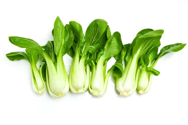 Pok Choi Vit Bakgrund — Stockfoto