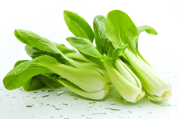 Pok Choi Sfondo Bianco — Foto Stock