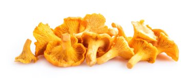 Beyaz arka planda izole edilmiş Chanterelle mantarları. Kapat..