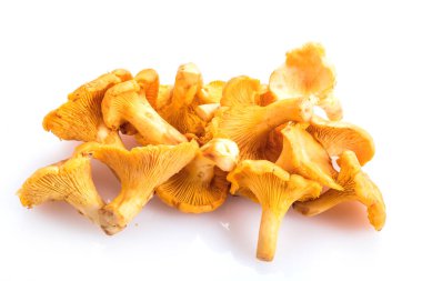 Beyaz arka planda izole edilmiş Chanterelle mantarları. Kapat..