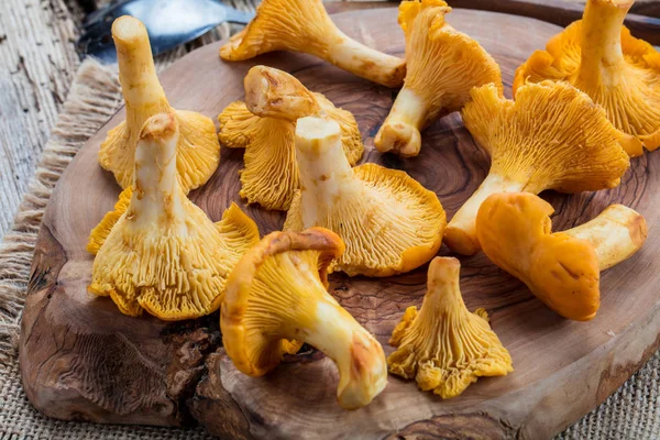 Yellow mushrooms chanterelle in vintage plate with forest plants on dark kitchen table