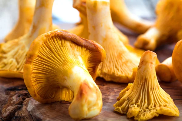 Sarı mantar Cantharellus cibarius karanlık mutfak masasının üzerinde orman bitkileri ile vintage plaka 