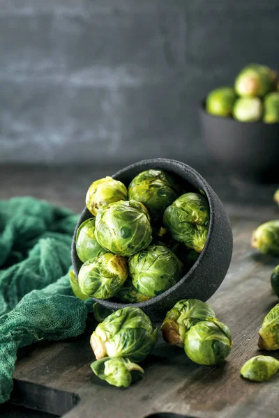 Bruxelles Groddar Närbild — Stockfoto