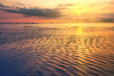 Jurmala Riga Körfezi kıyısında yaz akşamları