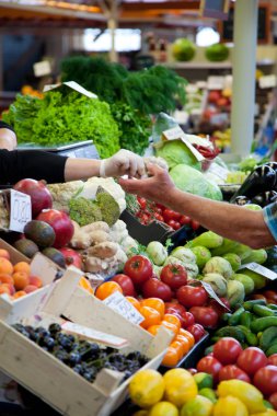 Çeşitli renkli taze meyve ve sebzelerle meyve pazarı