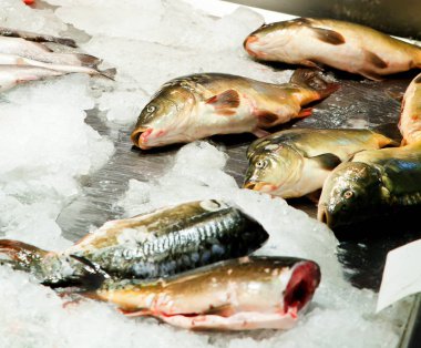 Balık Pazarı, semt pazarı, taze balık, sosyal sorunu, Balık Pazarı semt pazarı taze balık