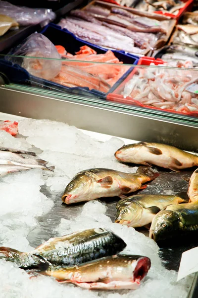 Fish market, fresh fish in street market, fresh fish, social issue, fish market street market