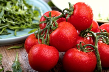 Dalları üzerinde kırmızı olgun domates