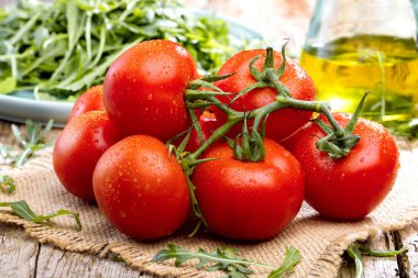 Dalları üzerinde kırmızı olgun domates