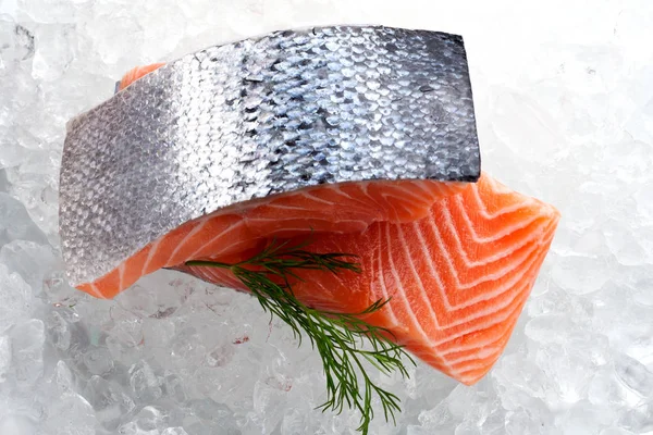 Frischer Lachs Auf Eis — Stockfoto