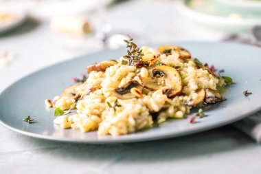 Mantarlı risotto beyaz gri, görünümü kapatın