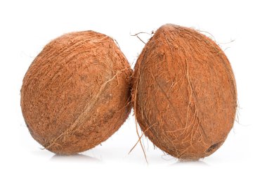 Beyaz arka plan üzerinde izole Hindistan cevizi. portre