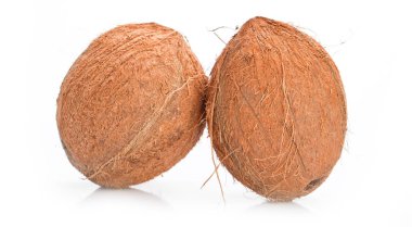 Beyaz arka plan üzerinde izole Hindistan cevizi. portre