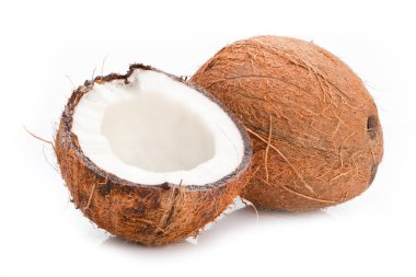 Beyaz arka plan üzerinde izole Hindistan cevizi. portre