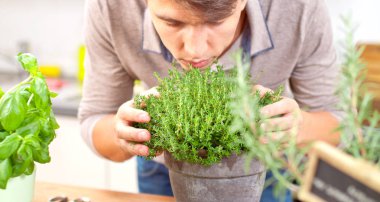 Hands.men mutfak evde taze hasat kekik.