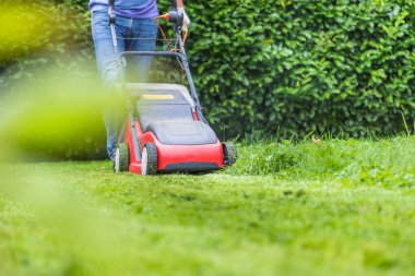Yaz ve bahar sezonu bahçede güneşli çim biçme