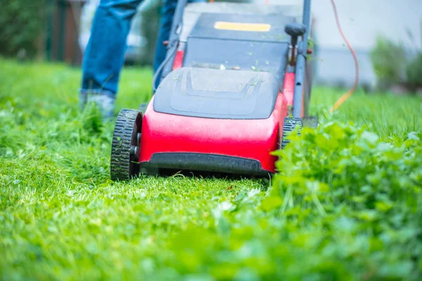 Zomer Het Voorjaar Seizoen Zonnige Gazon Maaien Tuin — Stockfoto