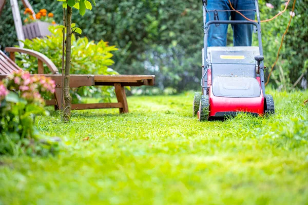 Verano Primavera Temporada Césped Soleado Siega Jardín —  Fotos de Stock