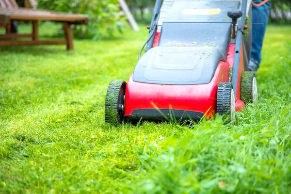 Verão Primavera Temporada Gramado Ensolarado Ceifando Jardim — Fotografia de Stock