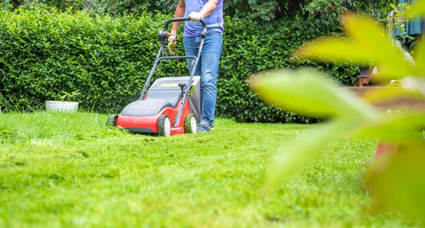 夏と春の季節庭の日当たりの良い芝生の刈ること — ストック写真