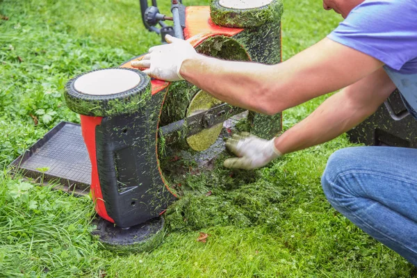 Zomer Het Voorjaar Seizoen Zonnige Gazon Maaien Tuin — Stockfoto