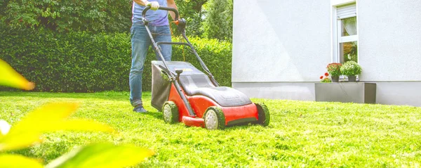 Verão Primavera Temporada Gramado Ensolarado Ceifando Jardim — Fotografia de Stock