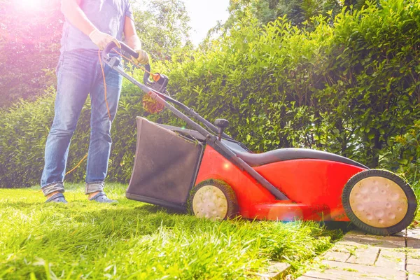 Summer Spring Season Sunny Lawn Mowing Garden — Stock Photo, Image