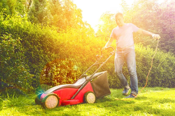 Verano Primavera Temporada Césped Soleado Siega Jardín —  Fotos de Stock