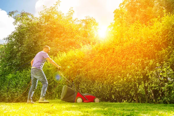 Sommaren Och Våren Säsongen Soliga Gräsklippning Trädgården — Stockfoto
