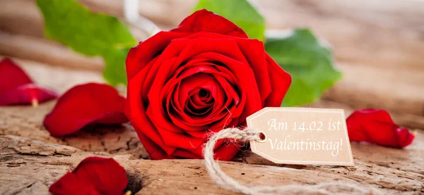 Roses Hearts Wooden Board Valentines Day Background German Text Valentins — Stock Photo, Image