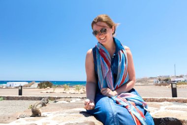 Bir sincap. Yaban hayatı fotoğraf güzel yakından.