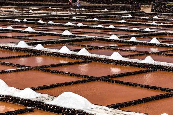 Salt Kommer Att Produceras Det Gamla Historiska Saltlösning Fuerteventura — Stockfoto