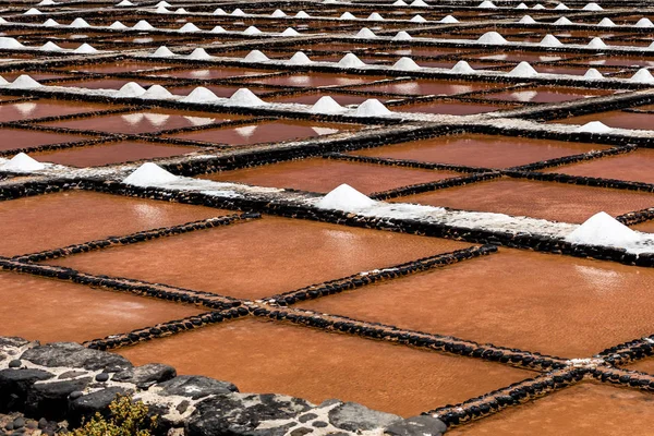 Sal Producirá Antigua Solución Salina Histórica Fuerteventura — Foto de Stock