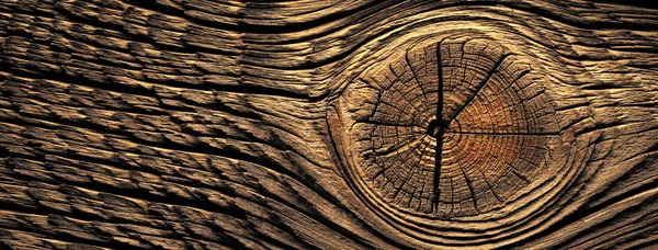 Die Braune Alte Holzstruktur Mit Knoten — Stockfoto