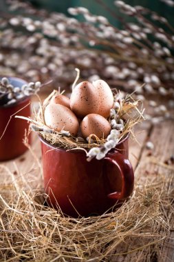 Tahta bir arka planda söğüt dalları ve bıldırcın yumurtaları