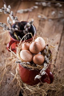 Tahta bir arka planda söğüt dalları ve bıldırcın yumurtaları