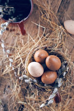 Tahta bir arka planda söğüt dalları ve bıldırcın yumurtaları