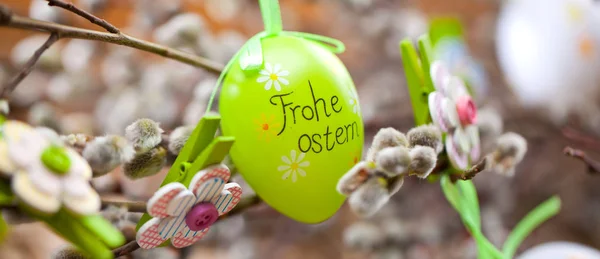 Wielkanoc Salix Pisanka Podłoże Drewniane Happy Easter Karty Happy Easter — Zdjęcie stockowe