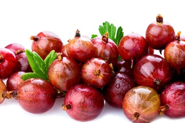 Yeşil yaprak beyaz arka plan üzerinde izole üç kırmızı Bektaşi üzümü. Kırpma yolu. Tam alan derinliği.