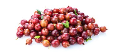 Yeşil yaprak beyaz arka plan üzerinde izole üç kırmızı Bektaşi üzümü. Kırpma yolu. Tam alan derinliği.