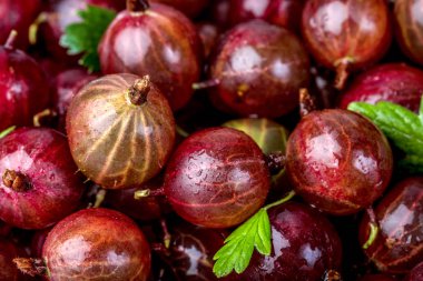 Kırmızı bektaşi yakın çekim, arka plan, makro fotoğraf