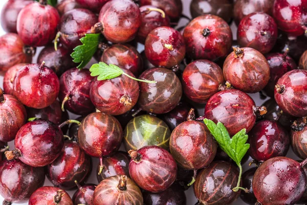 Red Gooseberry Close Background Macro Photo — Stock Photo, Image