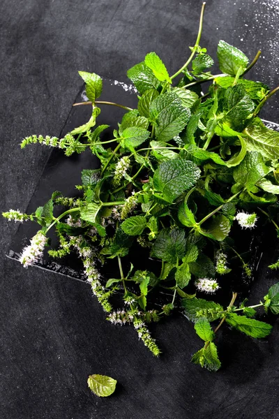 Mint Segar Meninggalkan Herbal Atas Meja Batu Tampilan Atas Dengan — Stok Foto
