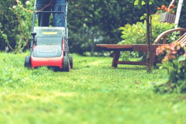 Çim biçme makinesi biçme, çim, ekipman, biçme, bahçıvan, araç bakım, iş,