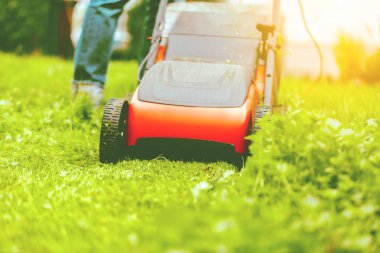 Çim biçme makinesi biçme, çim, ekipman, biçme, bahçıvan, araç bakım, iş,