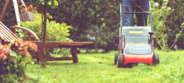 Çim biçme makinesi biçme, çim, ekipman, biçme, bahçıvan, araç bakım, iş,