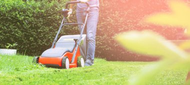 Çim biçme makinesi biçme, çim, ekipman, biçme, bahçıvan, araç bakım, iş,