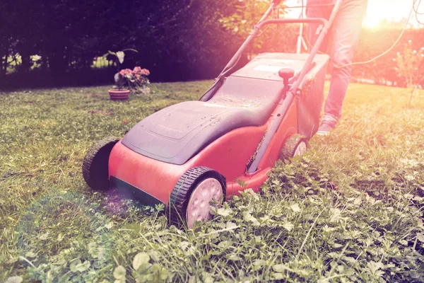 Lawn mower mower, grass, equipment, mowing, gardener, care, work, tool,