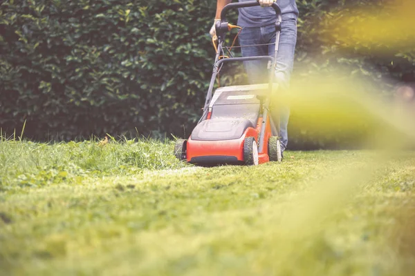 Gräsklippare Gräsklippare Gräs Utrustning Slåtter Trädgårdsmästare Omsorg Arbete Verktyg — Stockfoto